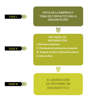 Diagnosticos iniciales